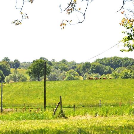 Domaine Du Castellare Bed & Breakfast Le Chalard Bagian luar foto