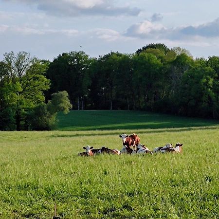 Domaine Du Castellare Bed & Breakfast Le Chalard Bagian luar foto