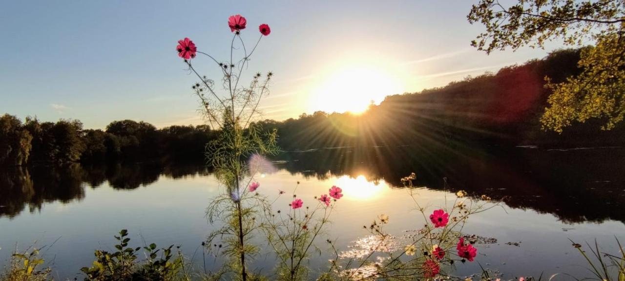 Domaine Du Castellare Bed & Breakfast Le Chalard Bagian luar foto