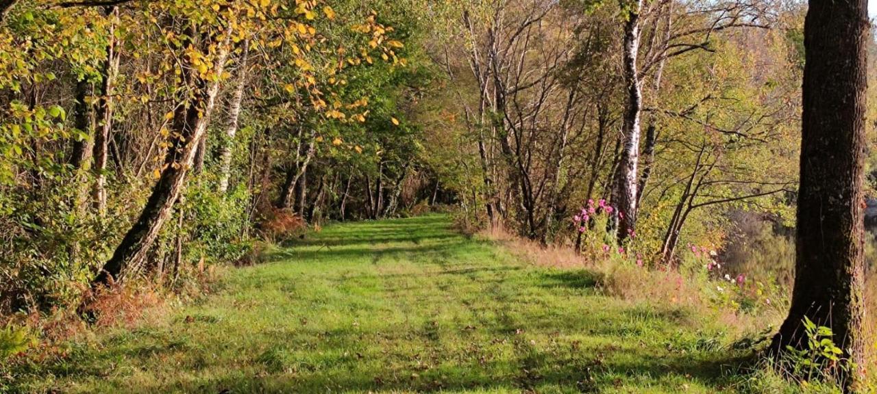 Domaine Du Castellare Bed & Breakfast Le Chalard Bagian luar foto