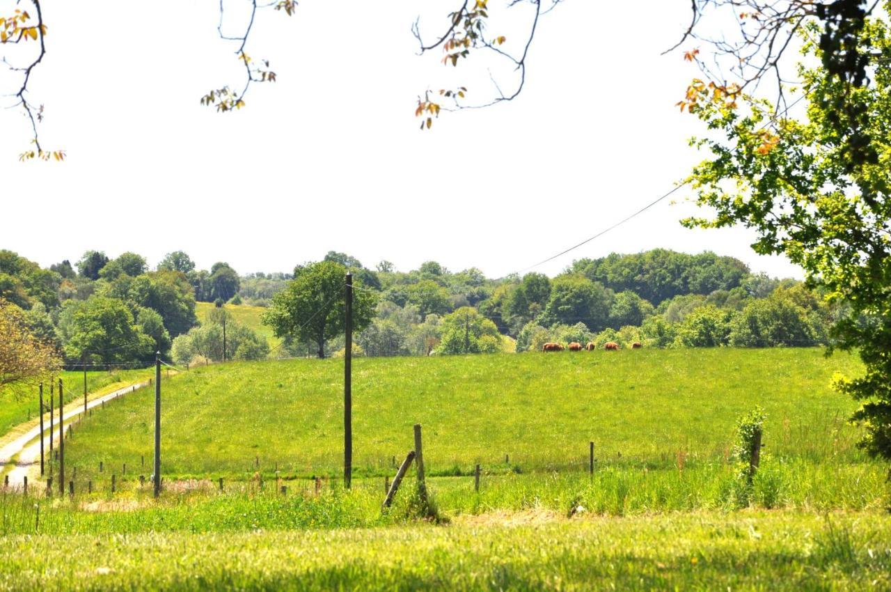 Domaine Du Castellare Bed & Breakfast Le Chalard Bagian luar foto